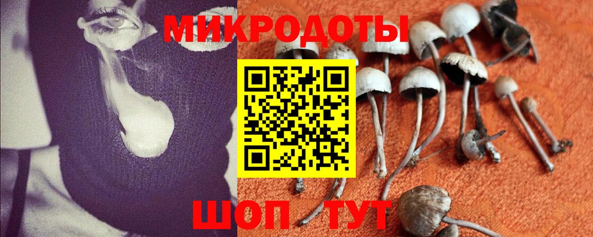 Ялта  Галлюциногенные грибы Psilocybe  Вход с VPN  Галлюциногенные грибы ЛСД 
